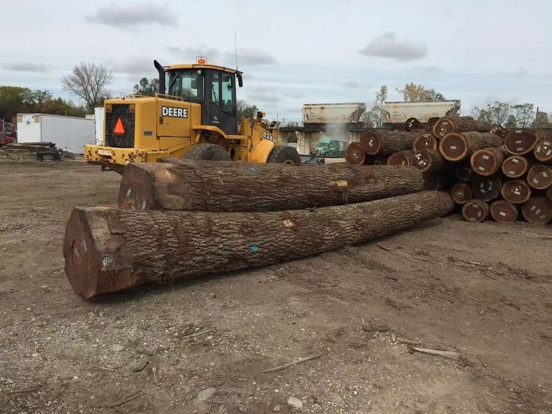 China Dongguan Yinghui Wood Industry Co., Ltd. Perfil de la compañía