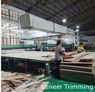 Dongguan Yinghui Wood Industry Co., Ltd. línea de producción del fabricante